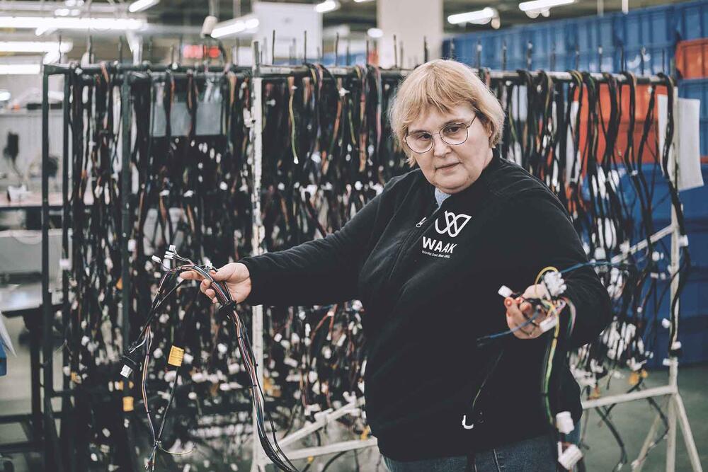 WAAK wire harness