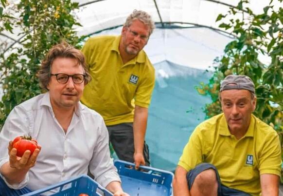WAAK tomaten kweken Fruy Catering