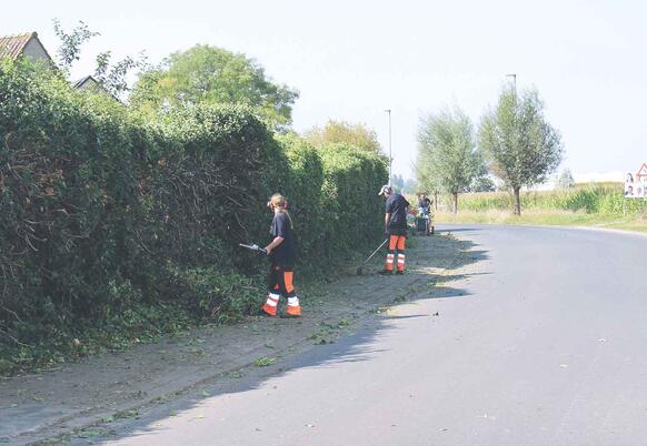 WAAK Groendienst doet het groenonderhoud voor Stad Harelbeke