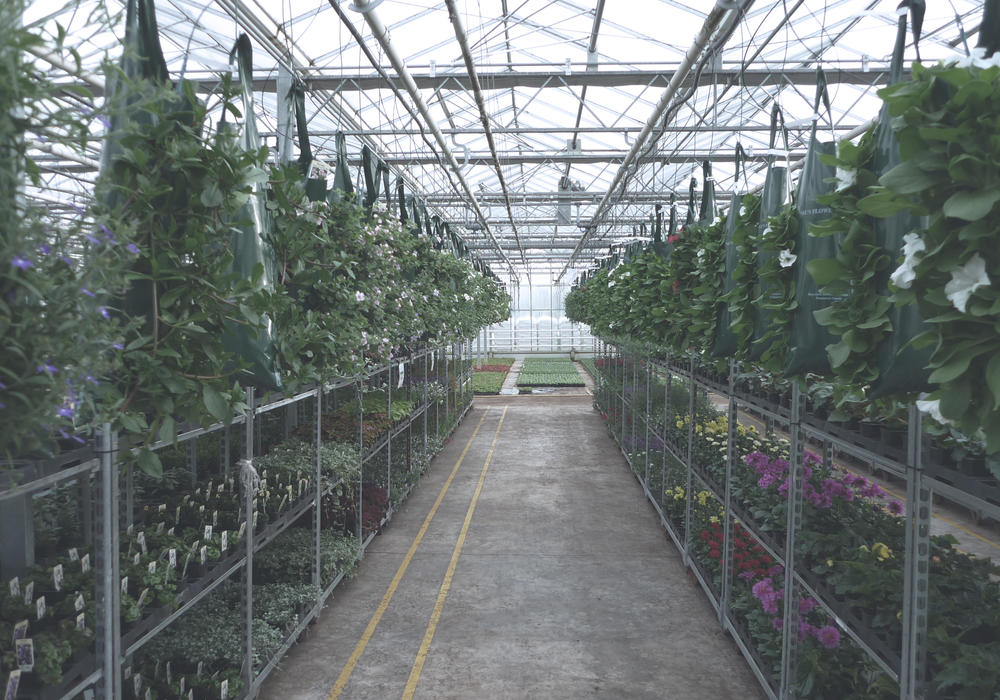 WAAK_Plantenkwekerij - Plantgoed