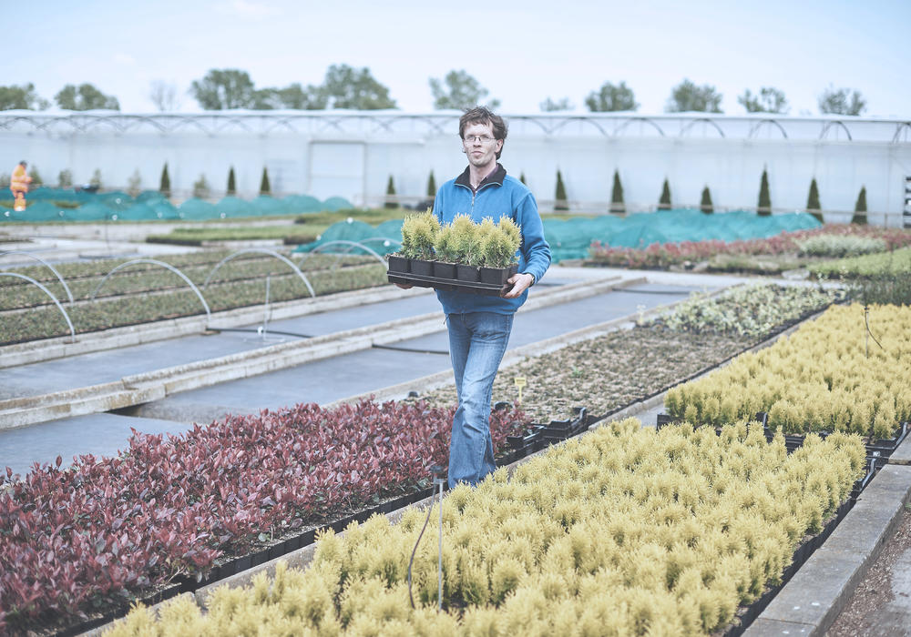 WAAK_Plantenkwekerij - Plantgoed