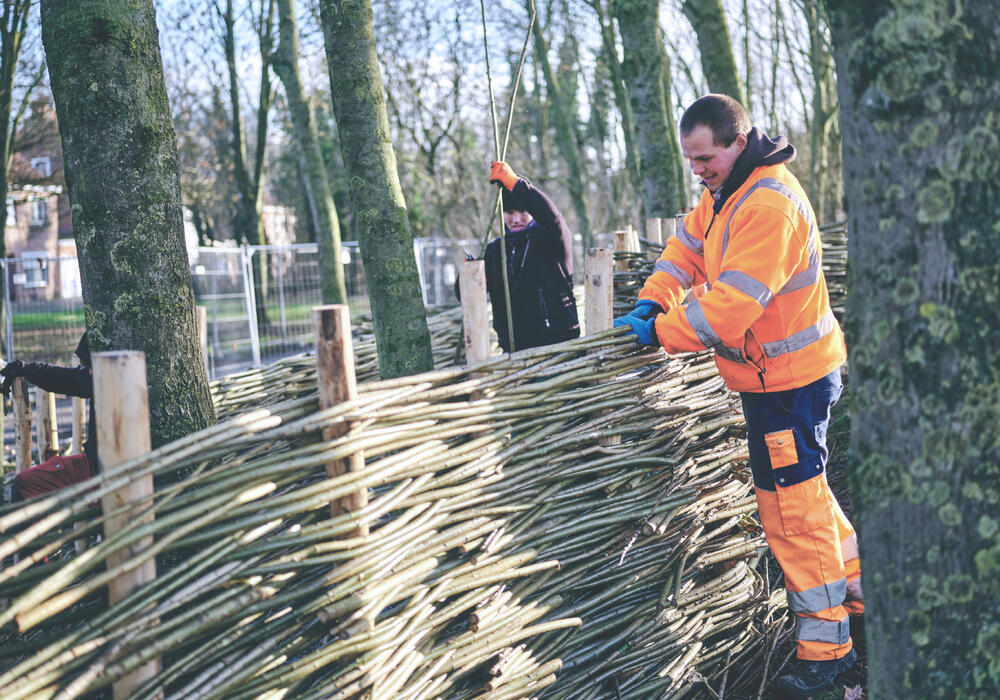 WAAK - wilgenschutting op maat - Gullegem