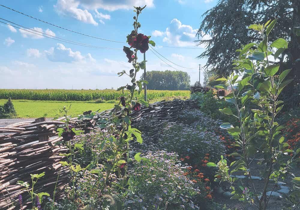WAAK wilgenschutting op maat