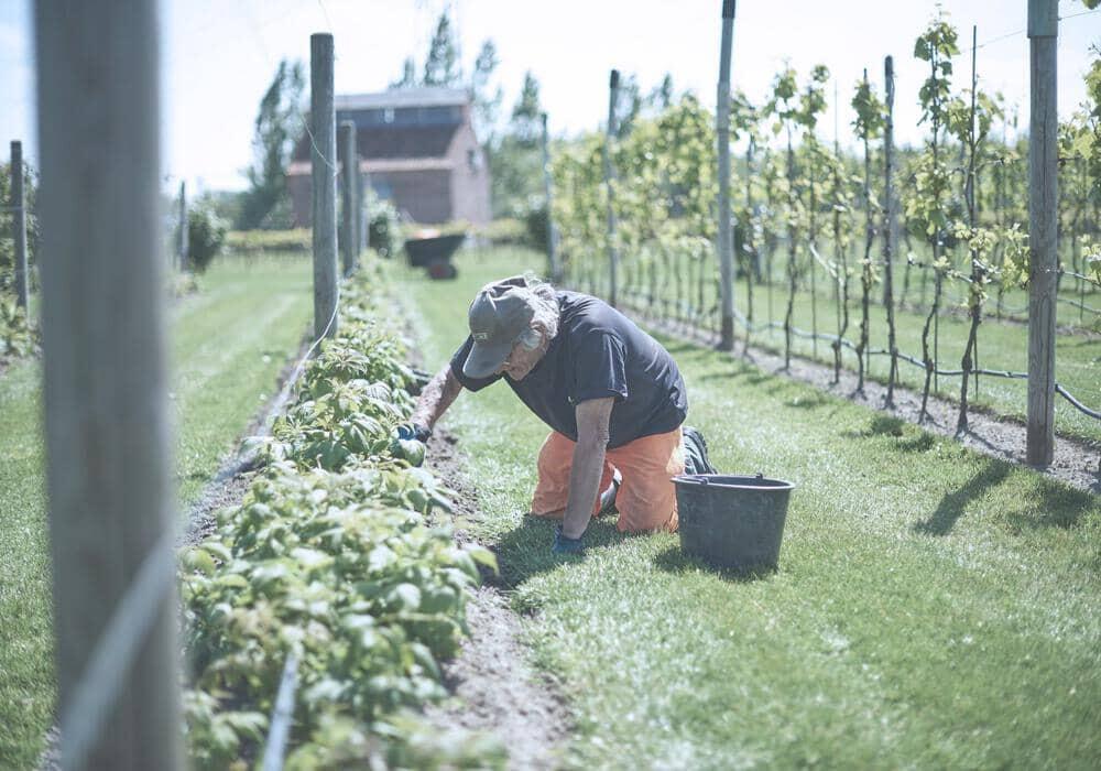 WAAK Groendienst aan het werk op terreinen van Vyncke nv