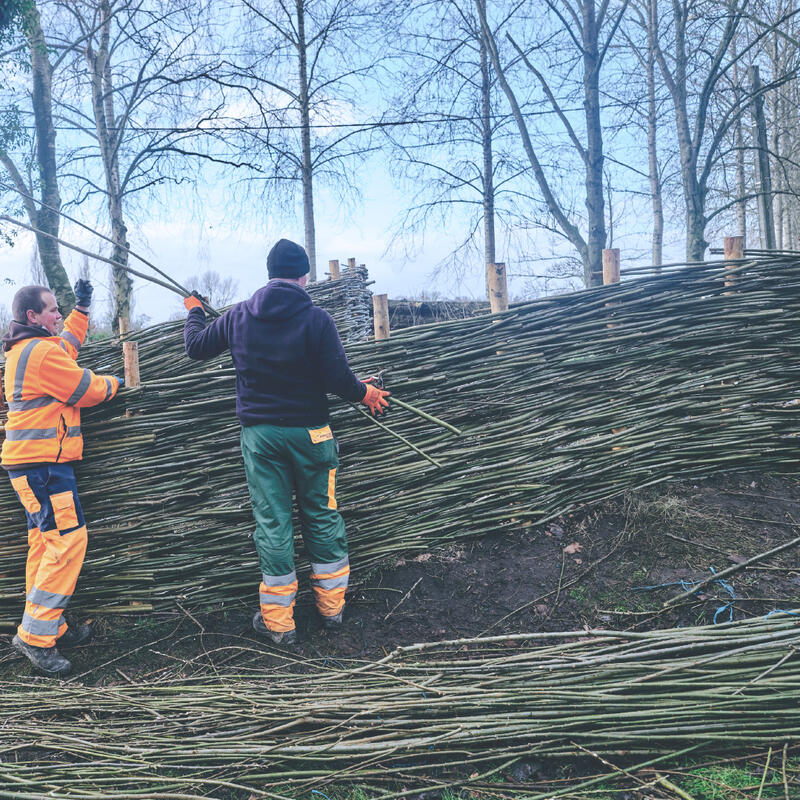 WAAK - wilgenschutting op maat - herstelling
