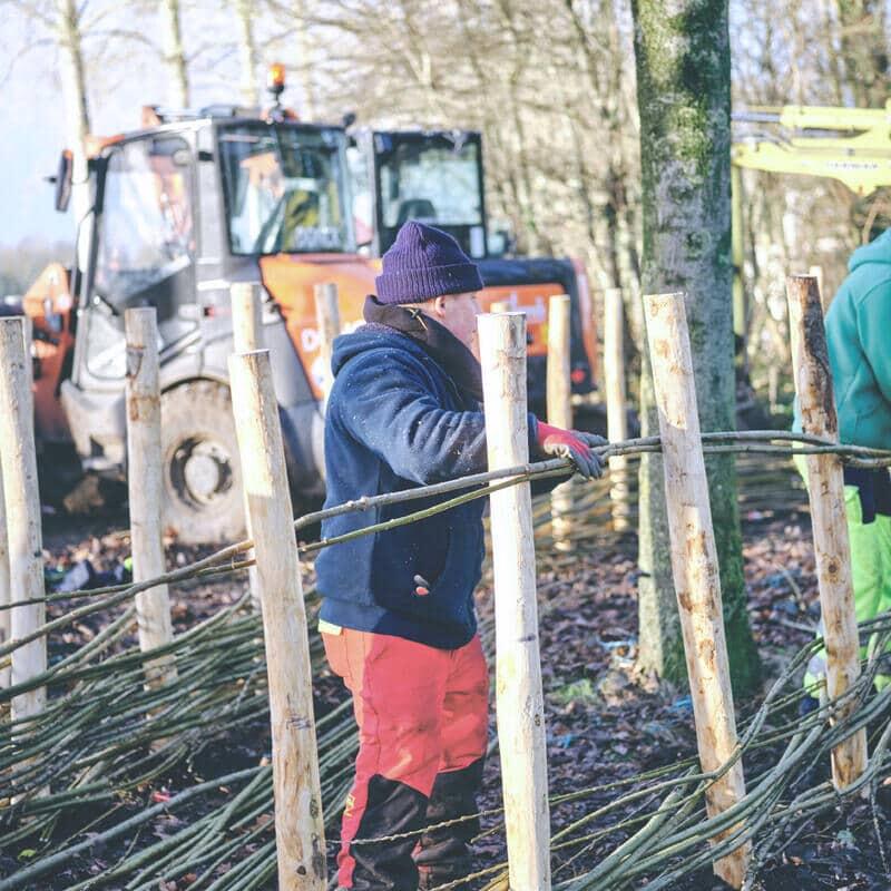 WAAK Groendienst aanleg wilgenschutting