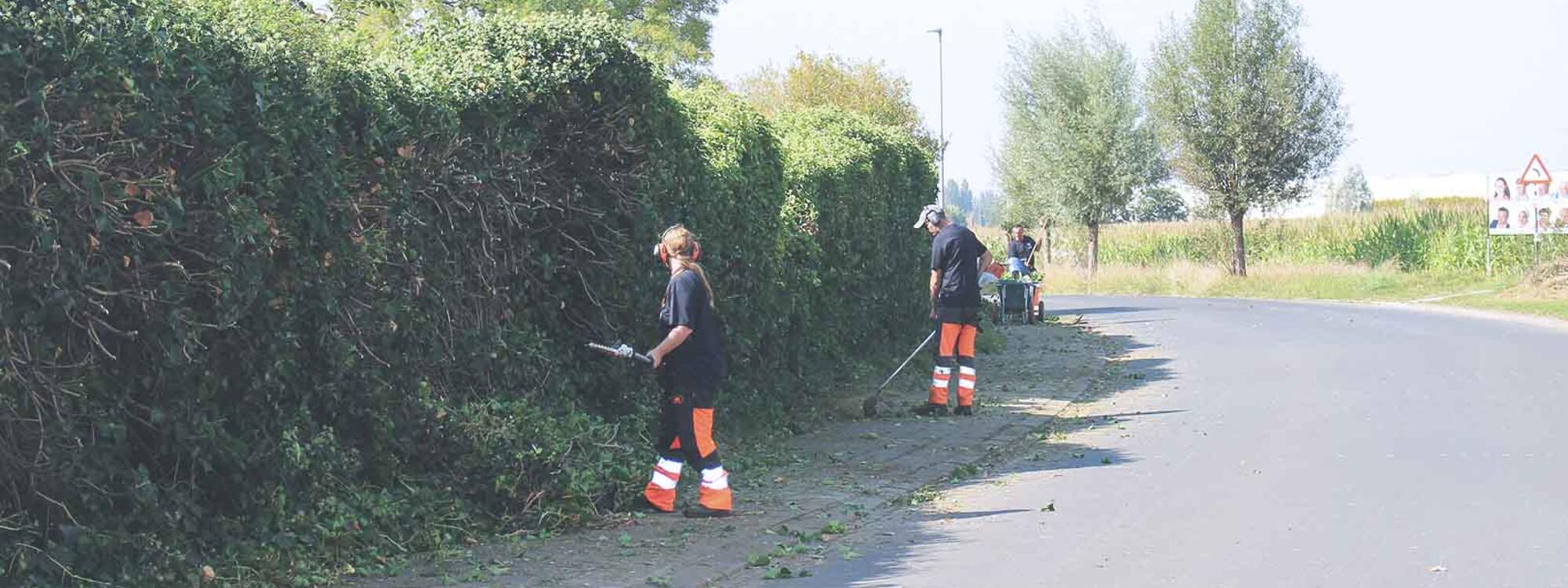 WAAK Groendienst doet het groenonderhoud voor Stad Harelbeke